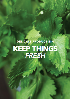 Screen Shot 2017-09-21 at 11.56.45 AM.png