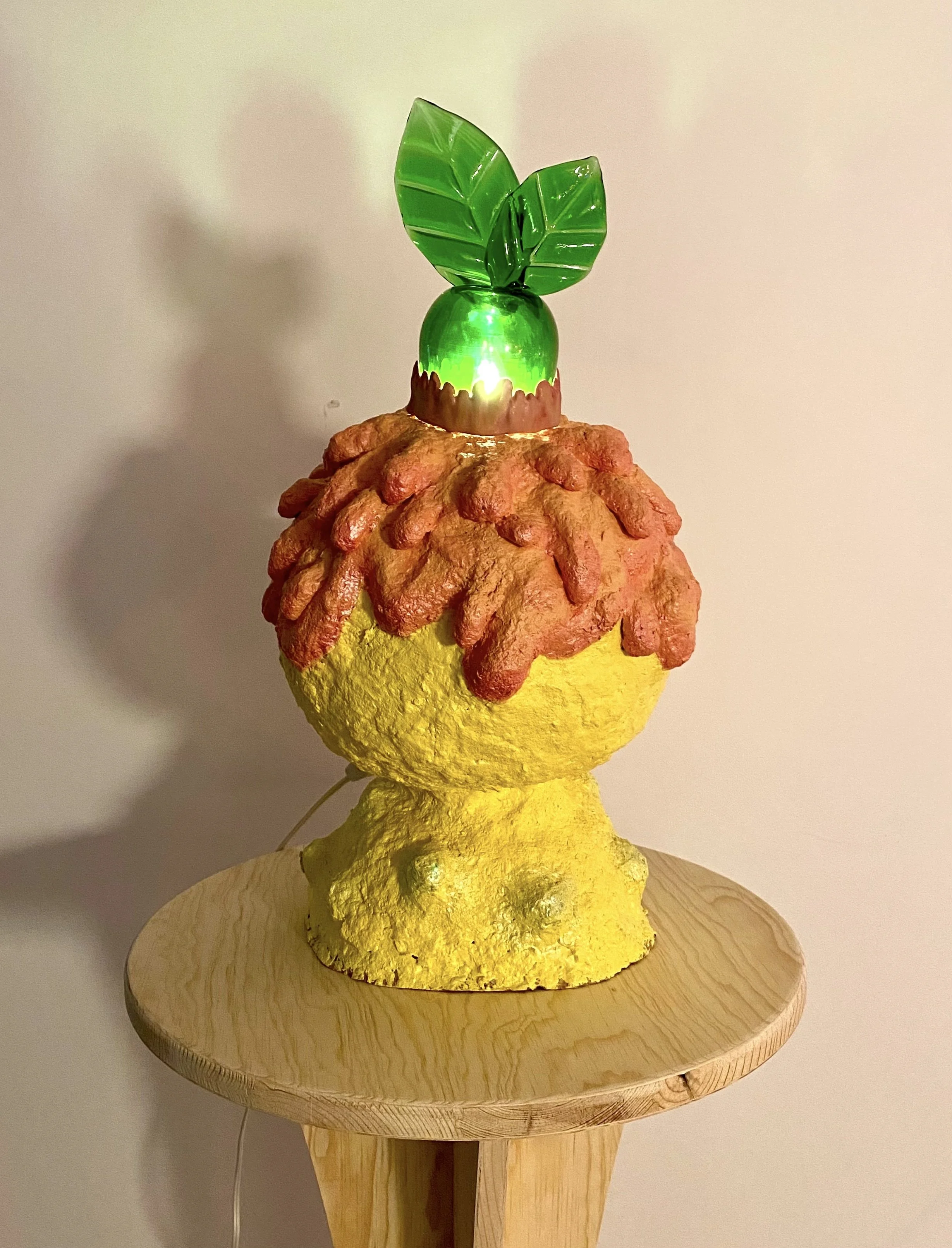 Extraneum Orbifolia, 2025