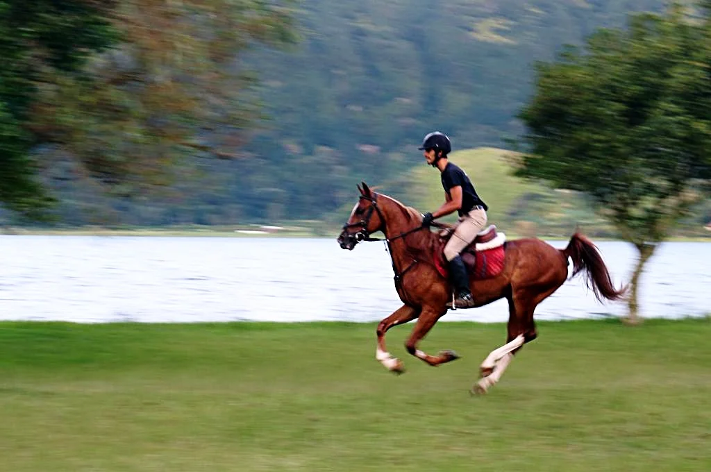 Lakeside Gallop, Sete Cidades.