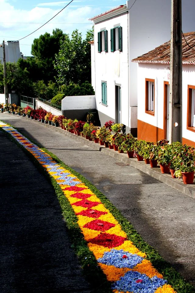 Reasons to visit the São Miguel, Azores - Flowers in Porto Formoso.jpg