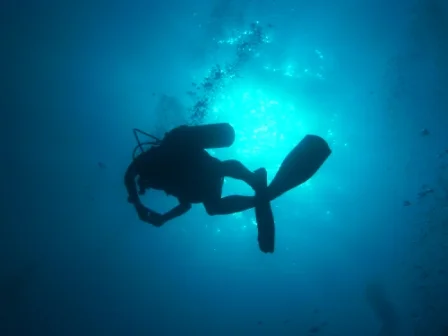 Diving a great Reason to visit the Azores Connections.jpg