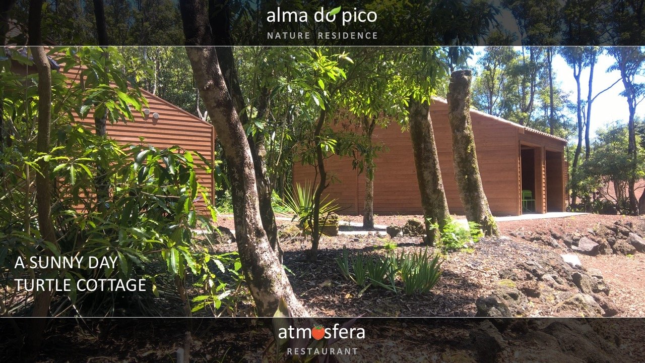 Azores-Accommodation-Alma-do-Pico-3.jpg