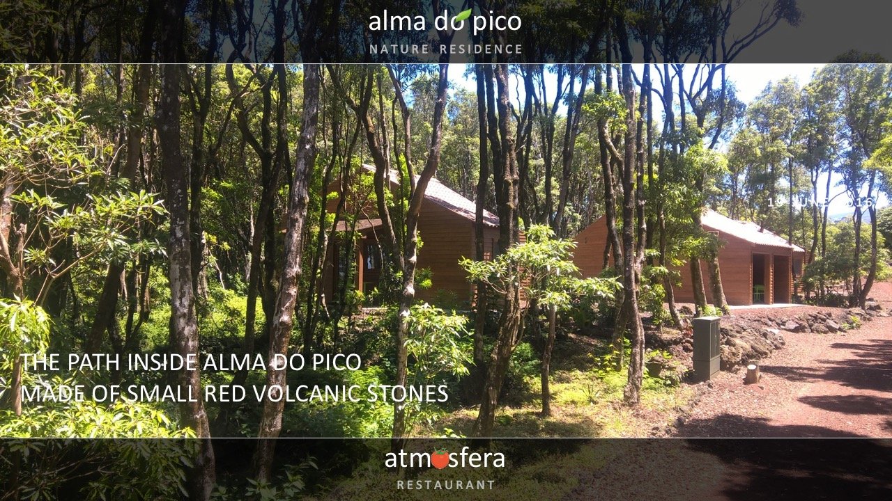 Azores-Accommodation-Alma-do-Pico-4.jpg