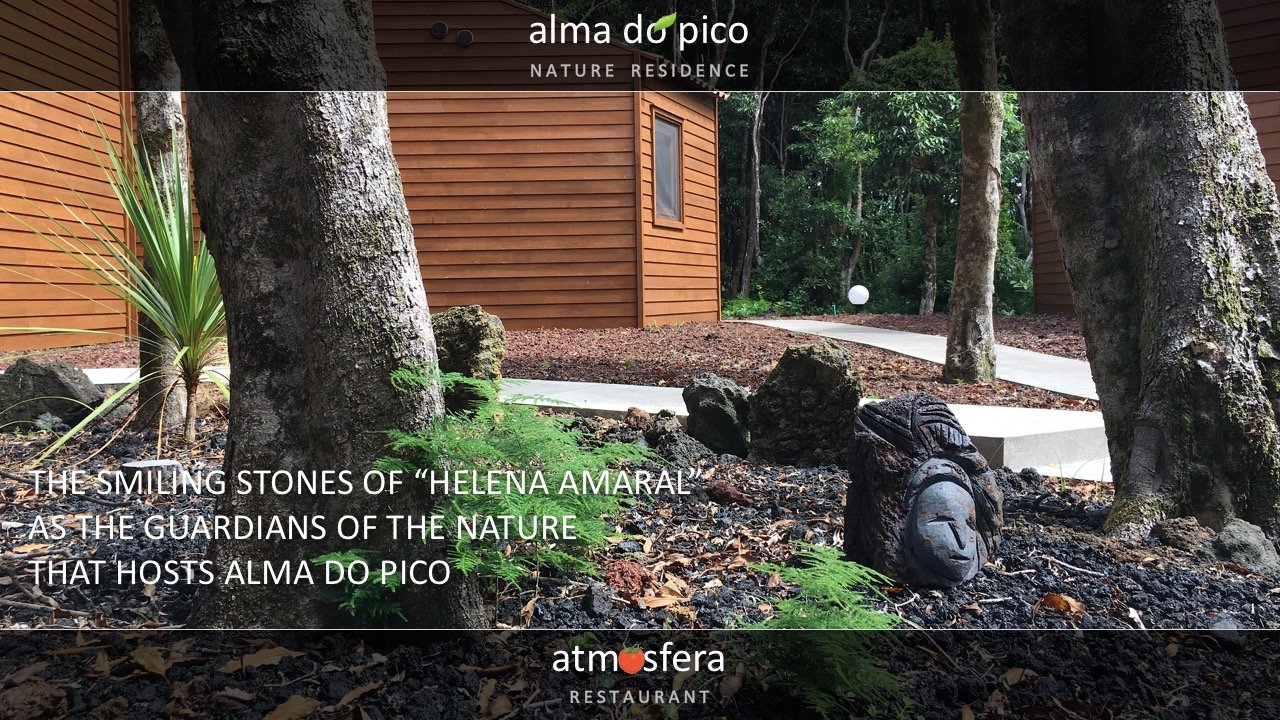 Azores-Accommodation-Alma-do-Pico-8.jpg