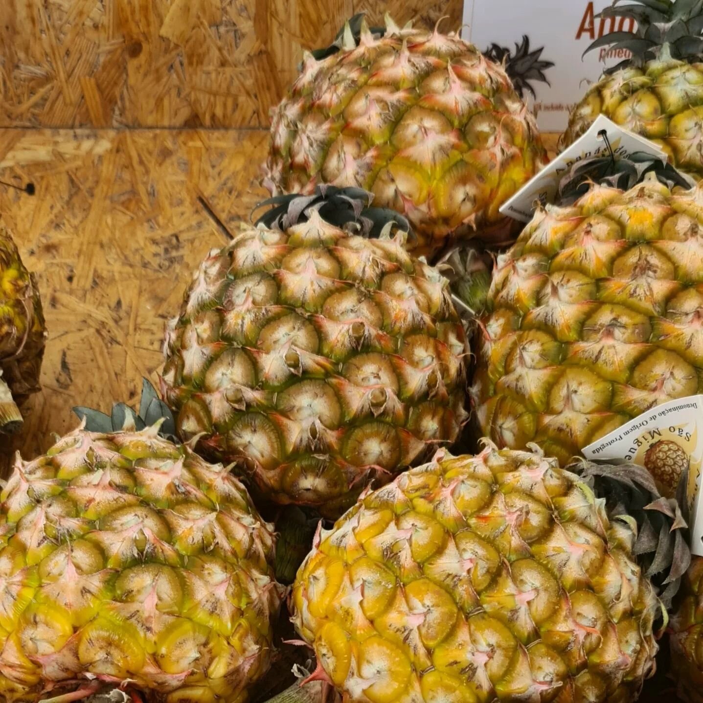2 years from planting to harvest; the Azorean pineapple (Ananas) is ready for your table!

#pineapple #ananas #azores #fruitlover #fruits #fruitbowl #pineapplejuice #juicing #gottaloveit #azoresconnections #azoresvacations