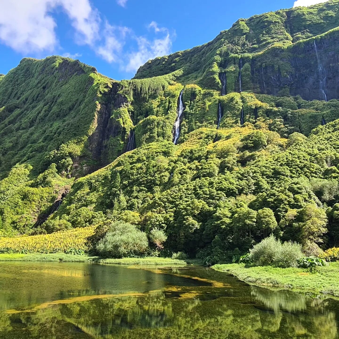 Flores Island, Azores - If your a lover of hiking and breathtaking nature, this is the place for you! 

#natureseekers #hikingtrails #waterfalls #natureview #viewpoint #flores #craterlake #freshair #breathofthewild #breathe