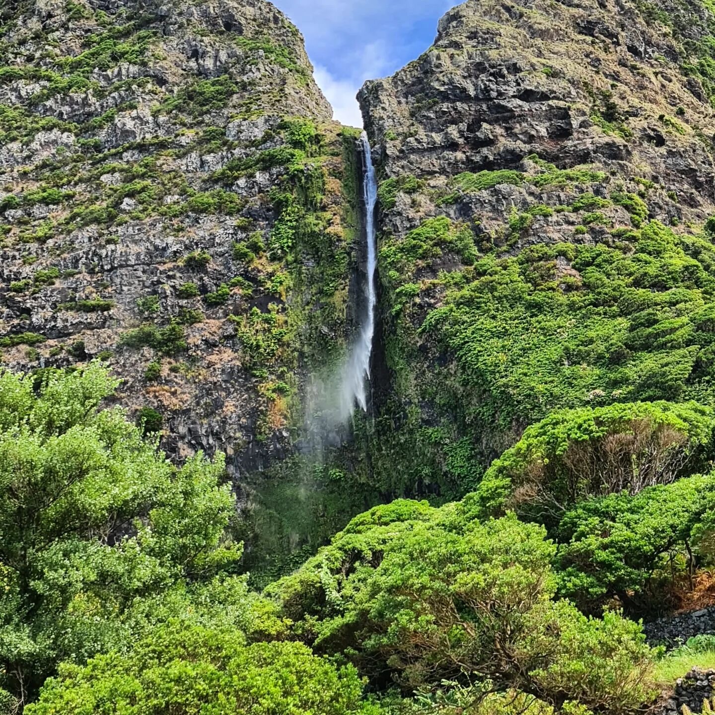 Flores Island - The land of waterfalls! ❤

#flores #island #travel #waterfalls #stunning #landscapelovers #greenlove #natureswonder #wildnature #naturephotos #azoresconnections #bespoketailoring #trips