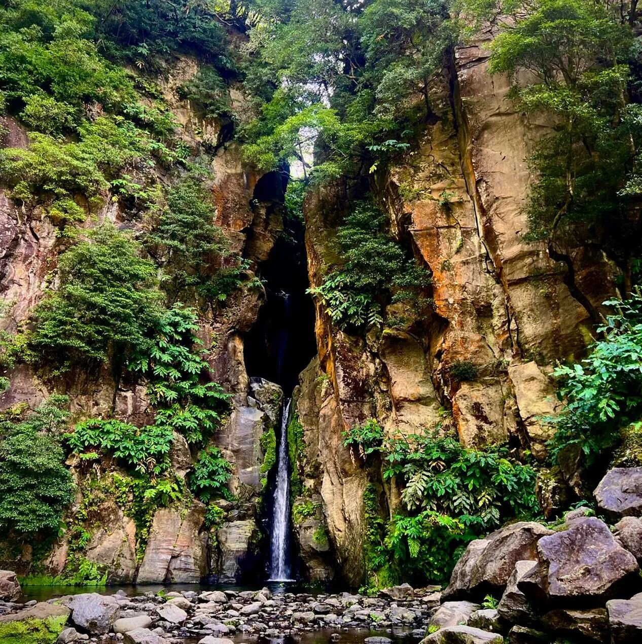 Stunning waterfalls are everywhere in the Azores! 

#azorestravel #azoresfamilyvacations
#travelawesome #waterfalls #holiday2023 #vacation2023 #tripping #azoresconnections #azoresislands