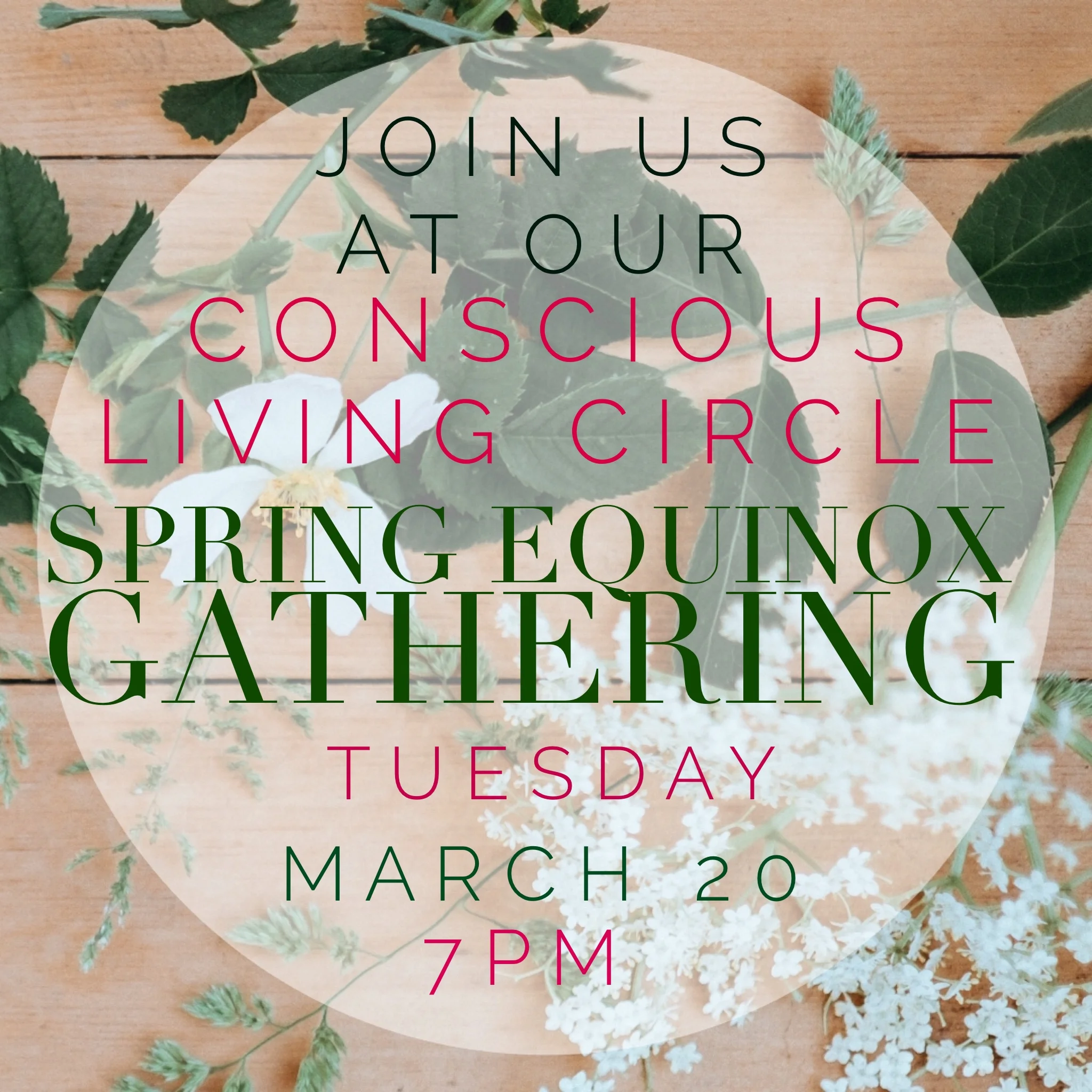 Nicole Linn Event.jpg