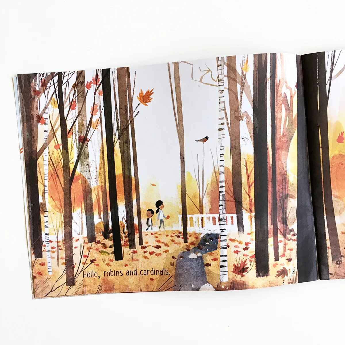 Goodbye Autumn Hello Winter Books For Diversity