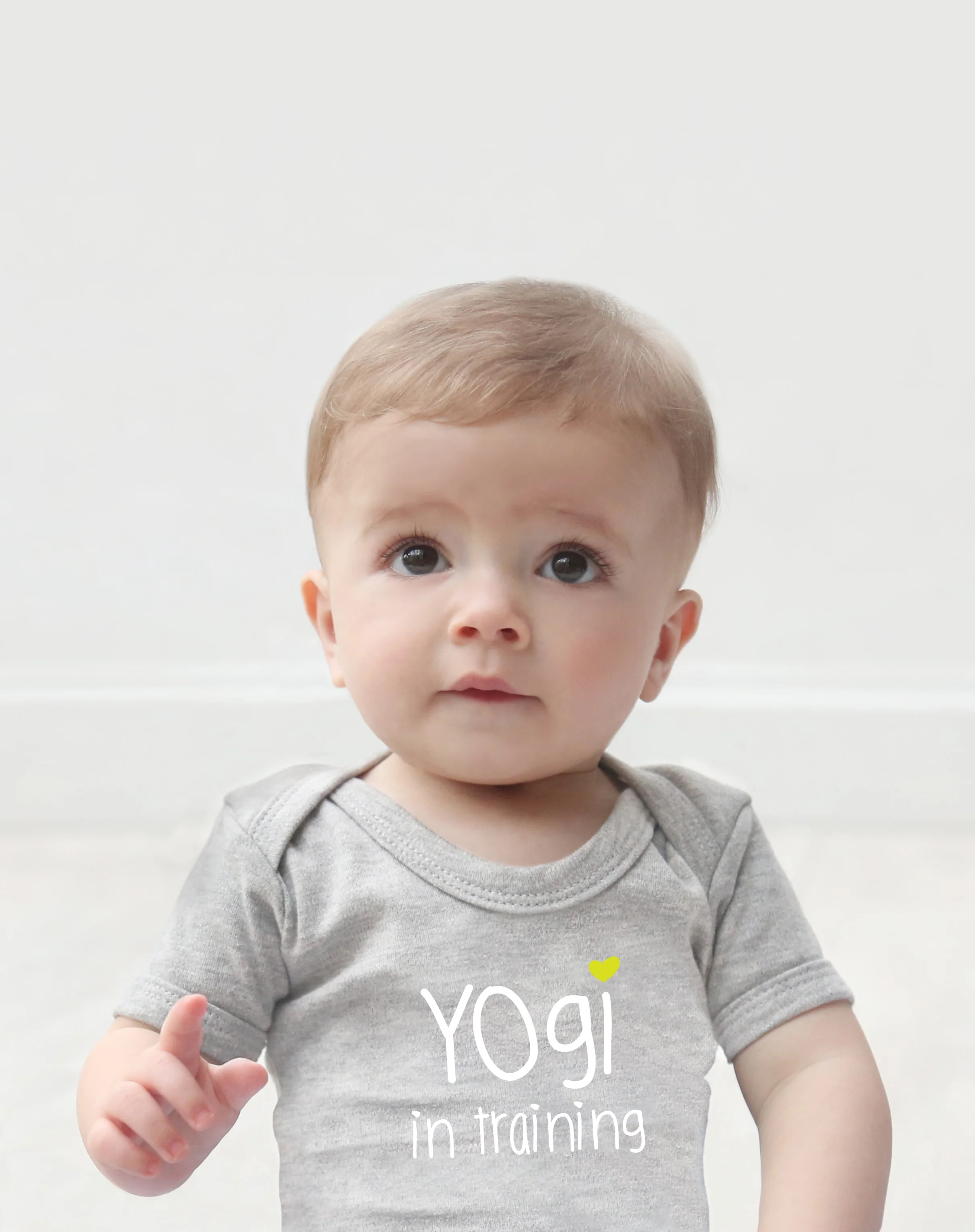 yogi.jpg