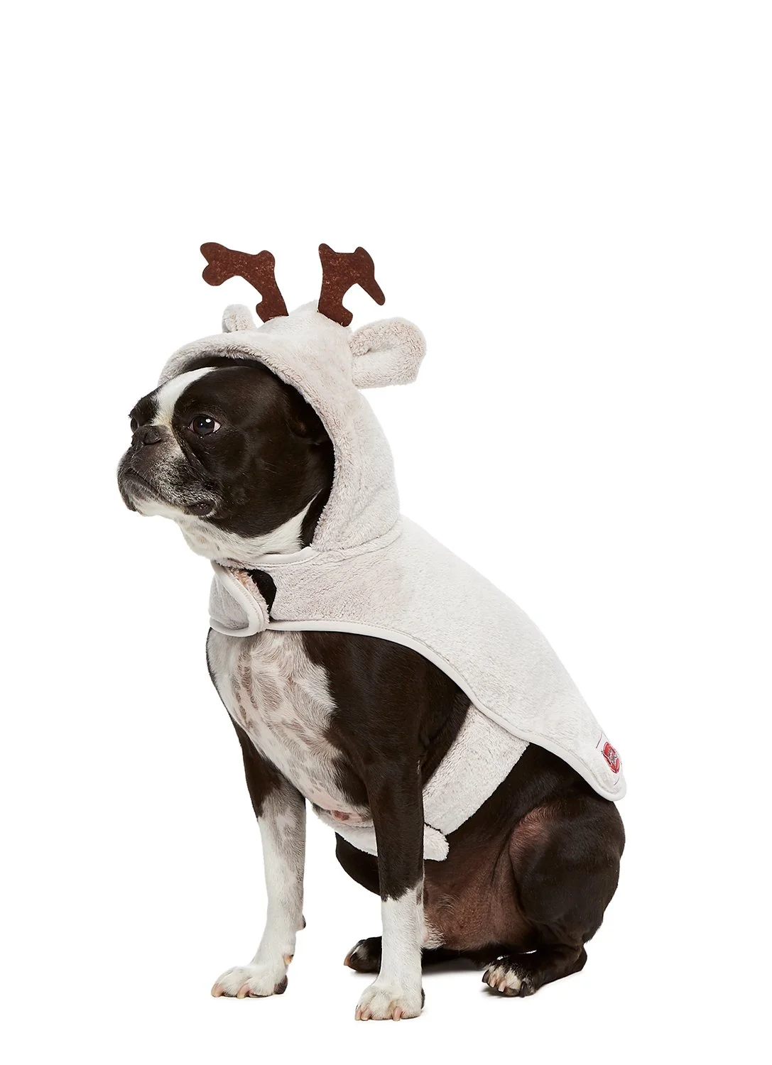 ca-5388-brown-sleigh-s-m__1_e3a97a7f-468b-4799-9fc6-2cba6f2e7d15_3000x3000.jpg