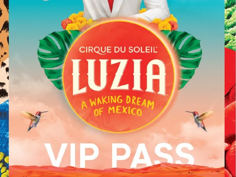 VIP+PASS+05.jpg