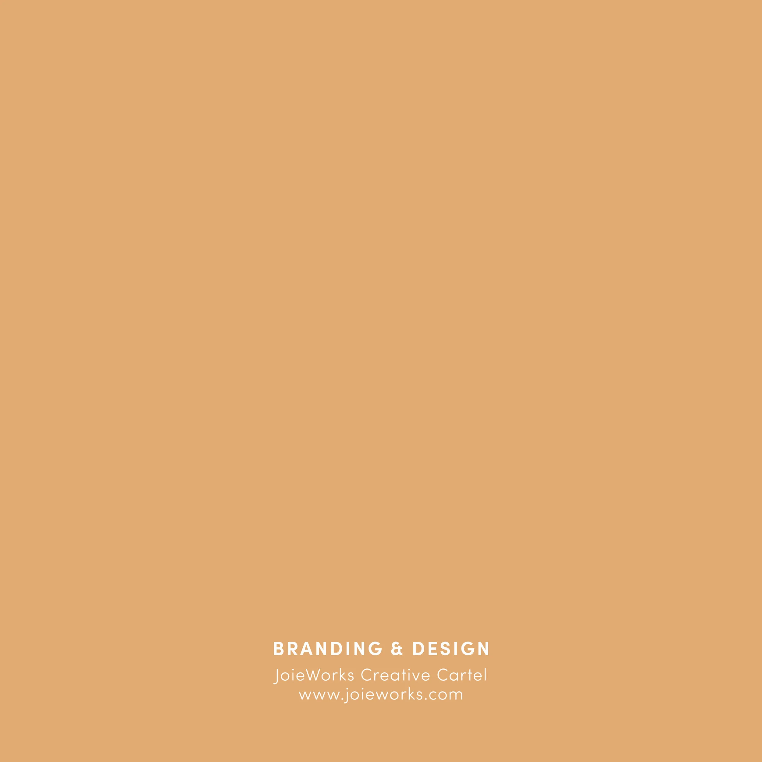 Six Degrees Performance Brand Style Guide14.jpg