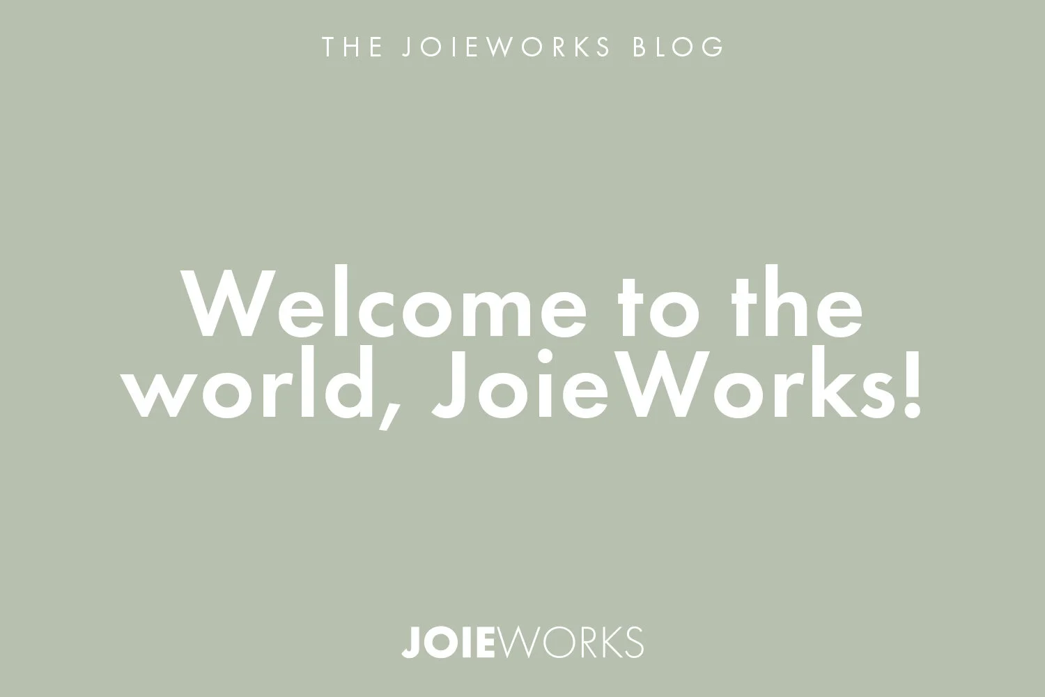 Welcome to the world, JoieWorks!