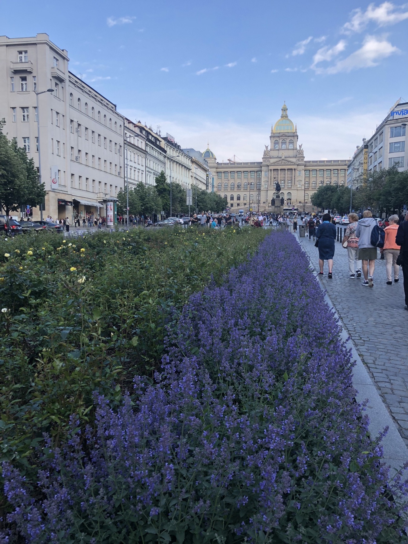 wenceslas square_resized_07:25:2019.jpg