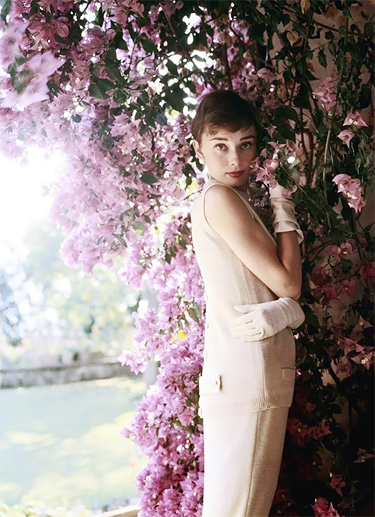 audrey_hepburn_4