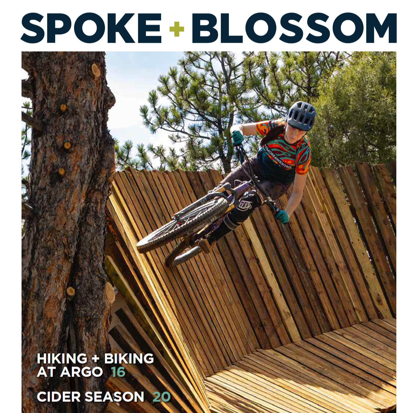 S+B ISSUE 37 / FALL 2026