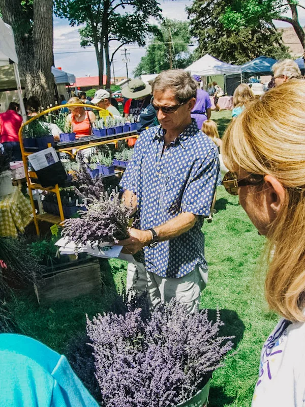 man holding lavender at festival-001Web.jpg