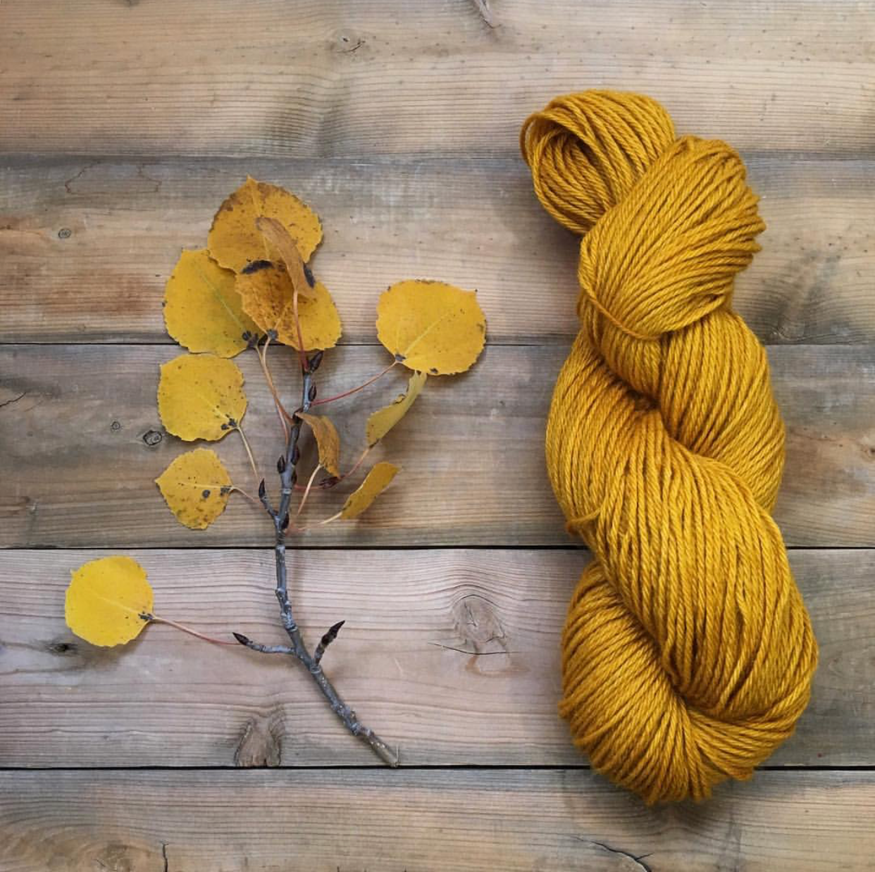 Our Favorite Instagram Pages 