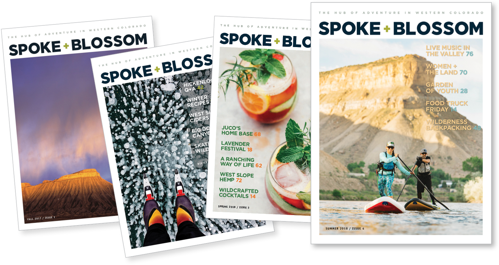 S+B Annual Subscription