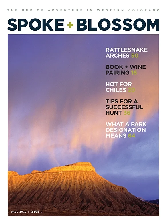 S+B Issue 01 / Fall 2017
