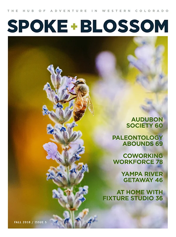 S+B Issue 05 / Fall 2018