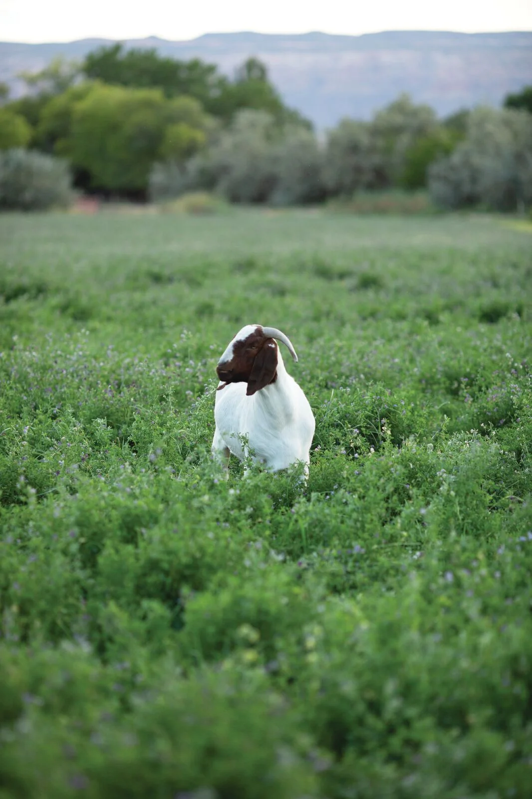 Photo by Cat Mayer