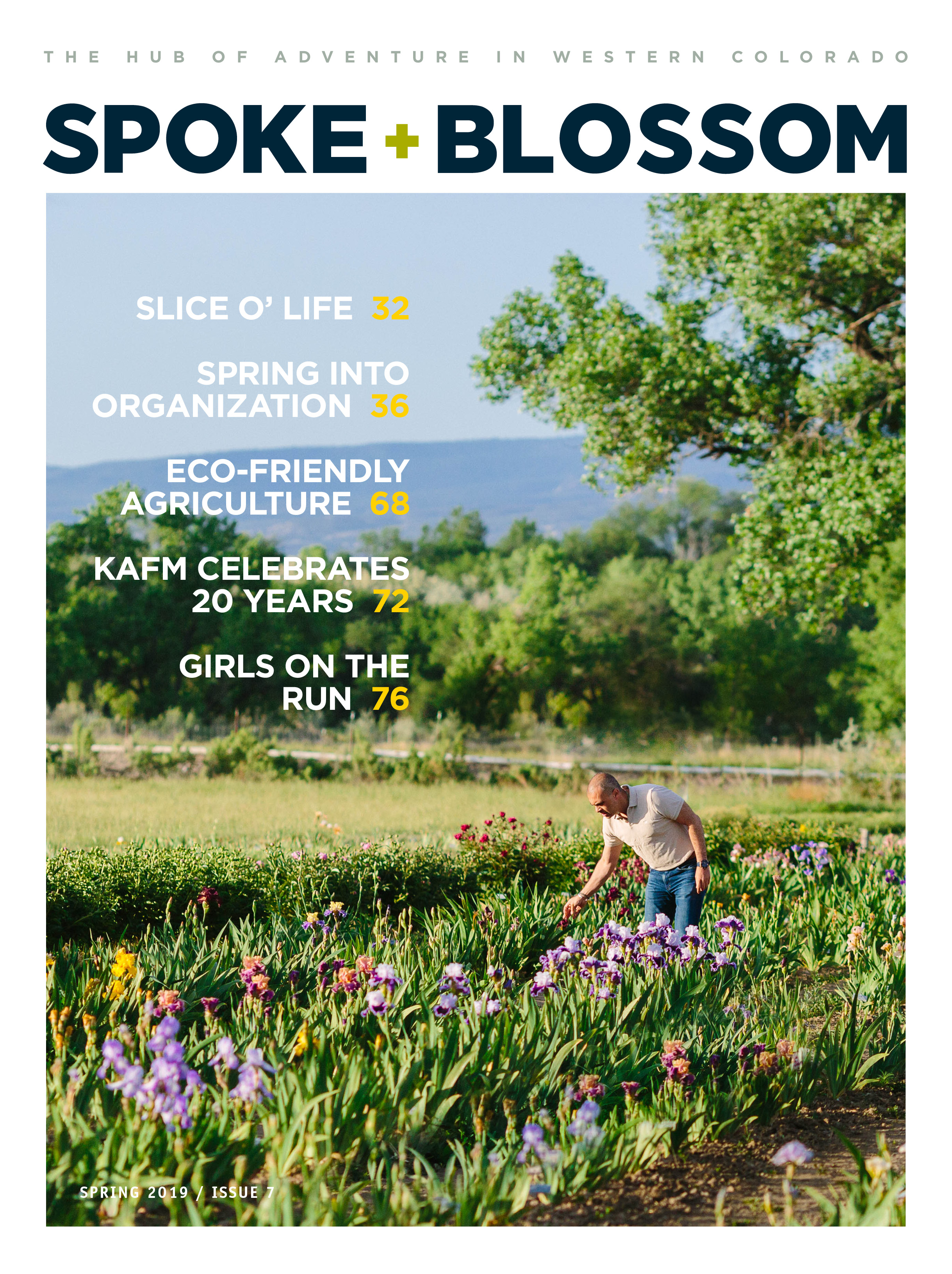 Spring 2019, Issue 7