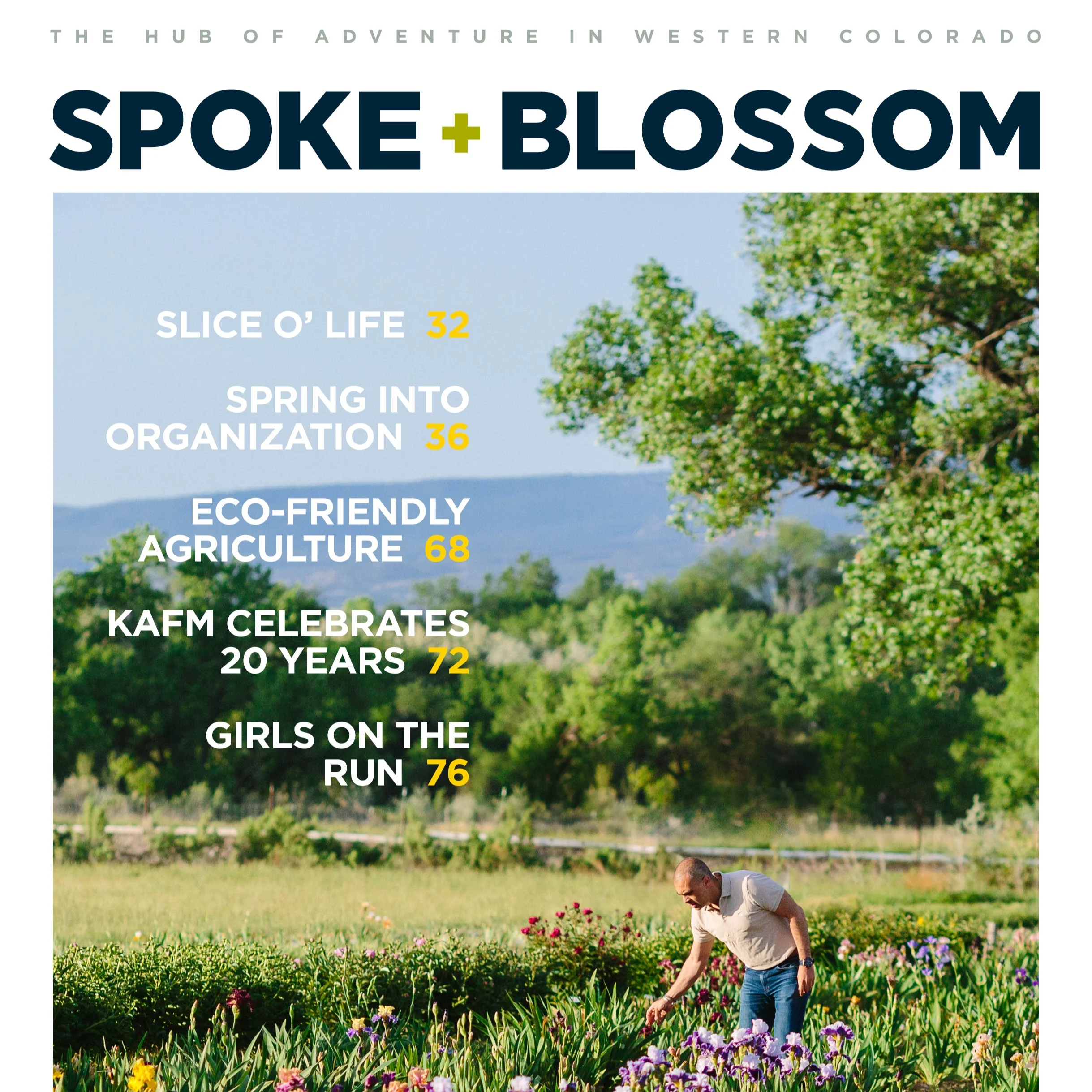 S+B Issue 07 / Spring 2019