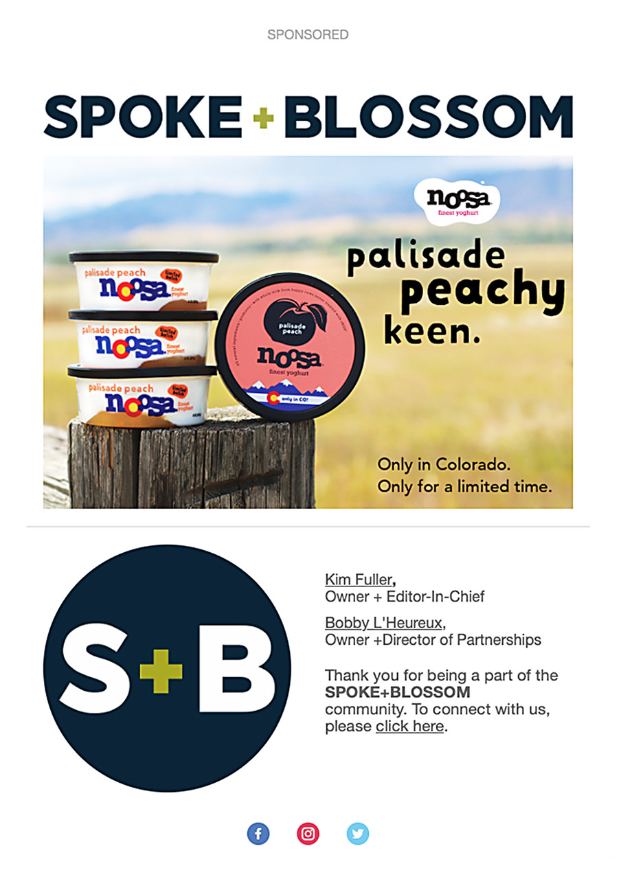 sample email.jpeg