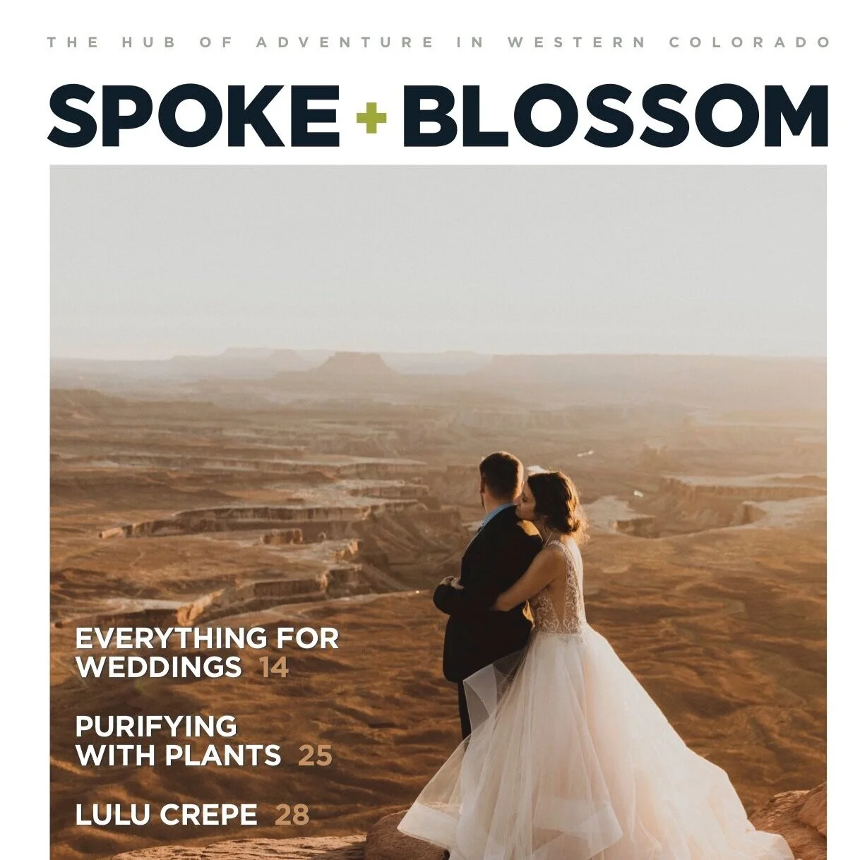 S+B ISSUE 11 / SPRING 2020