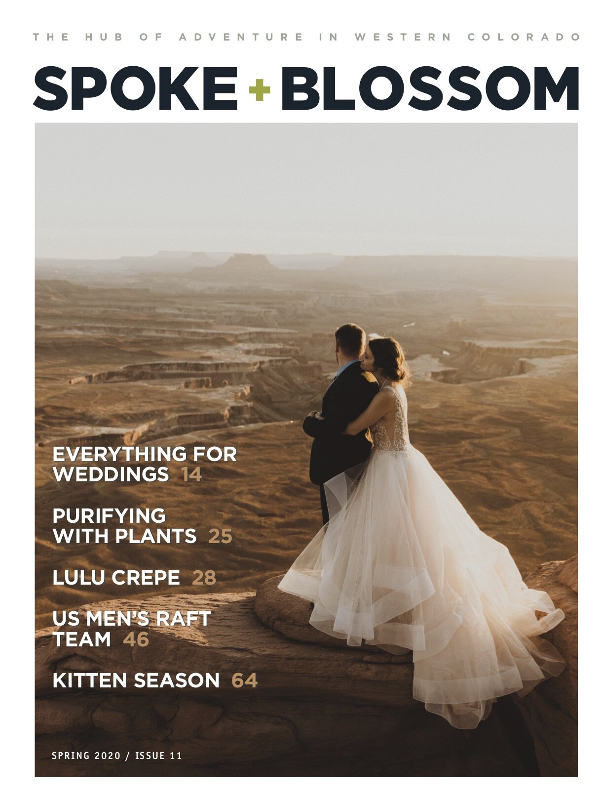 Spring 2020, Issue 11