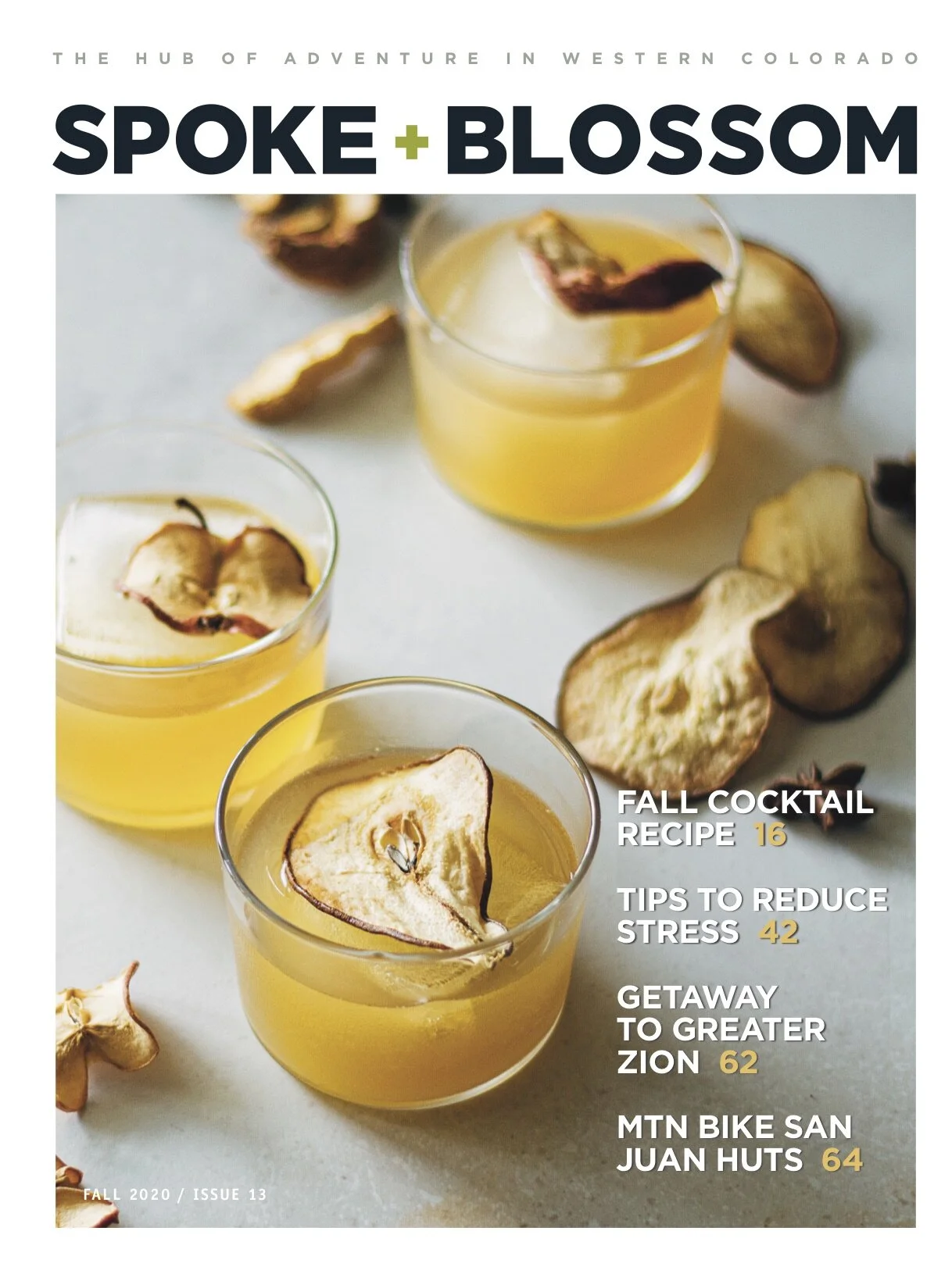 S+B Fall2020 Cover.jpg