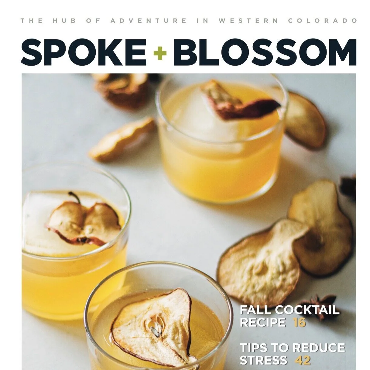 S+B ISSUE 13 / FALL 2020