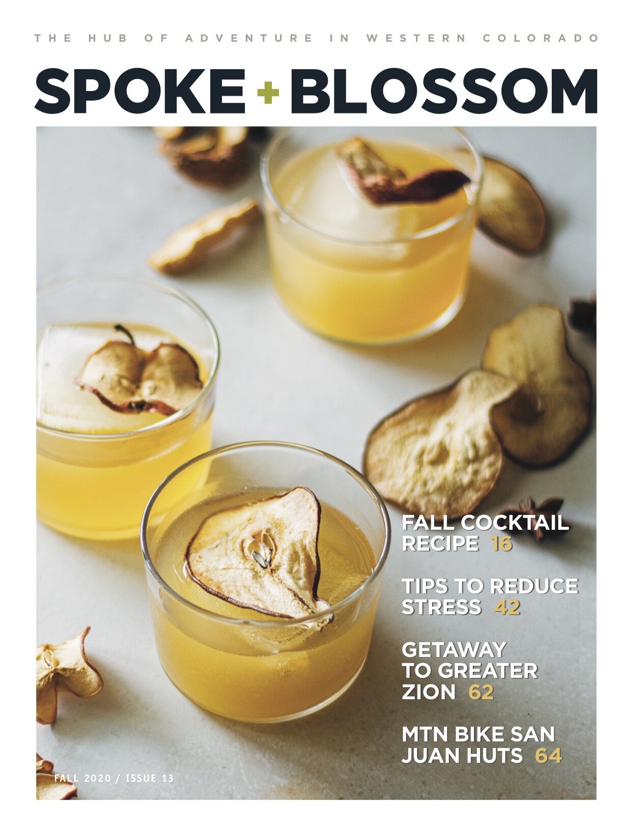 Fall 2020, Issue 13