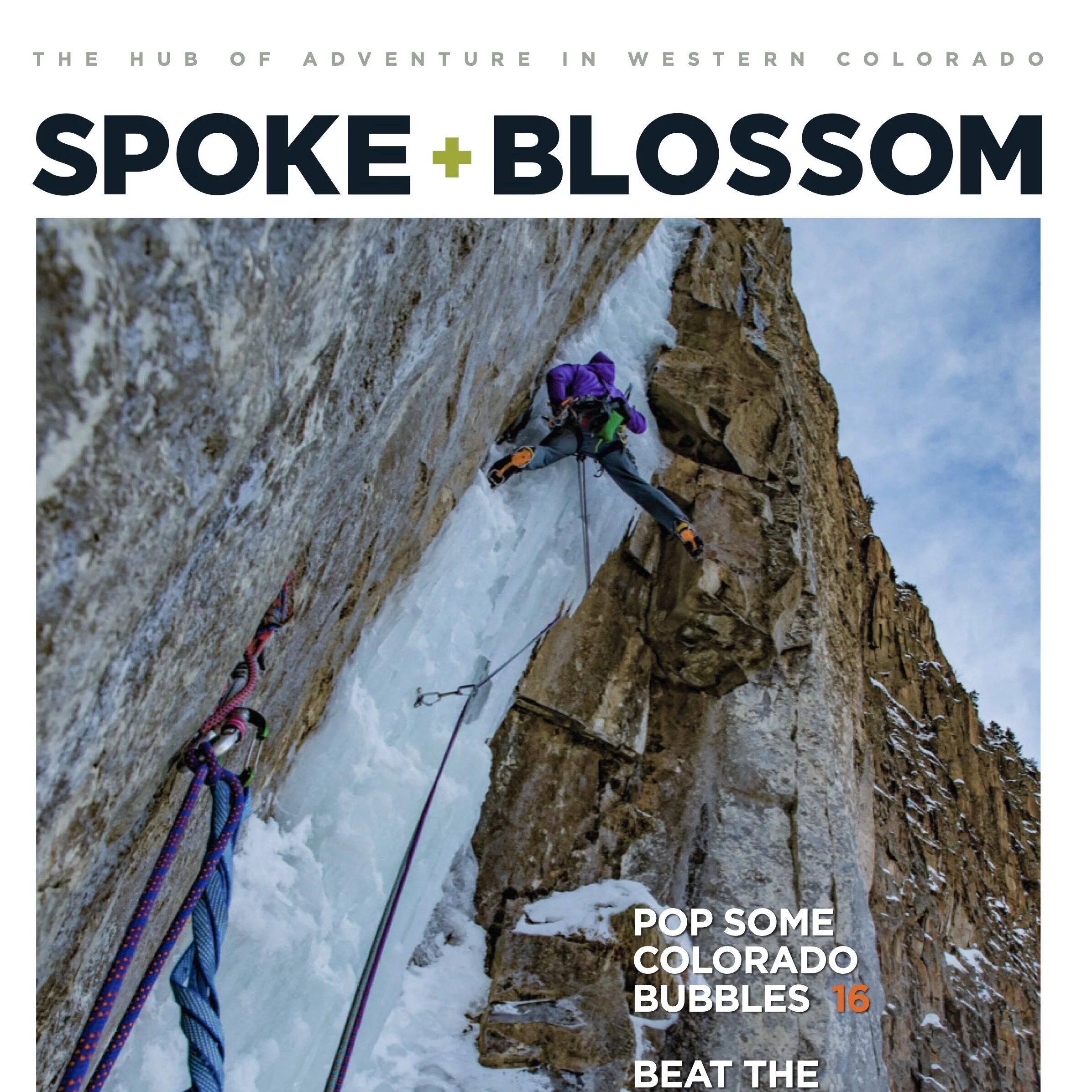 S+B ISSUE 14 / WINTER 2020-21