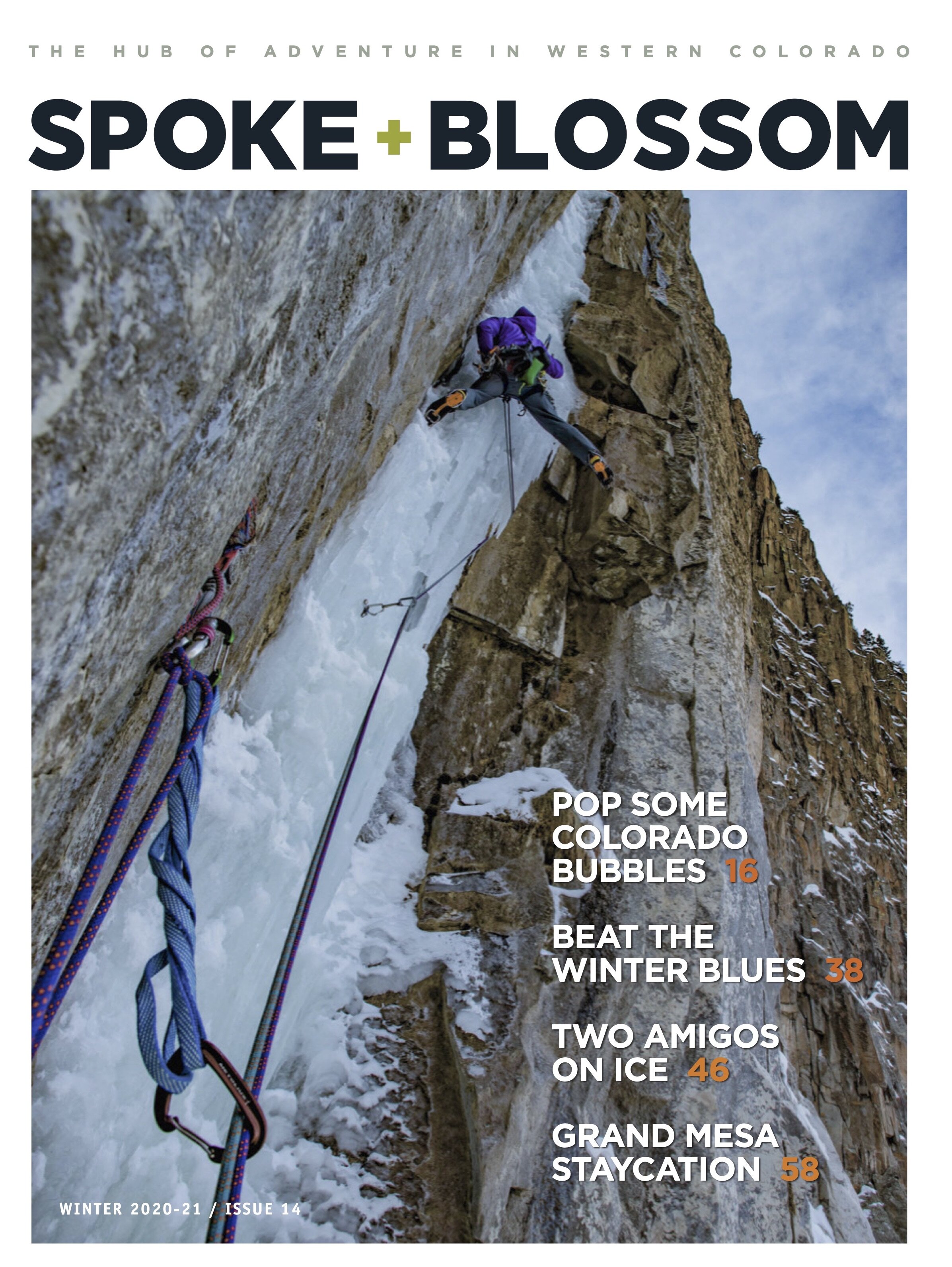 Winter 2020-21, Issue 14