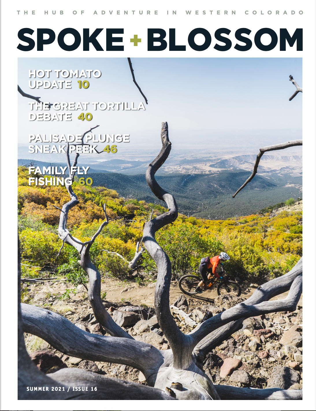 Summer 2021, Issue 16