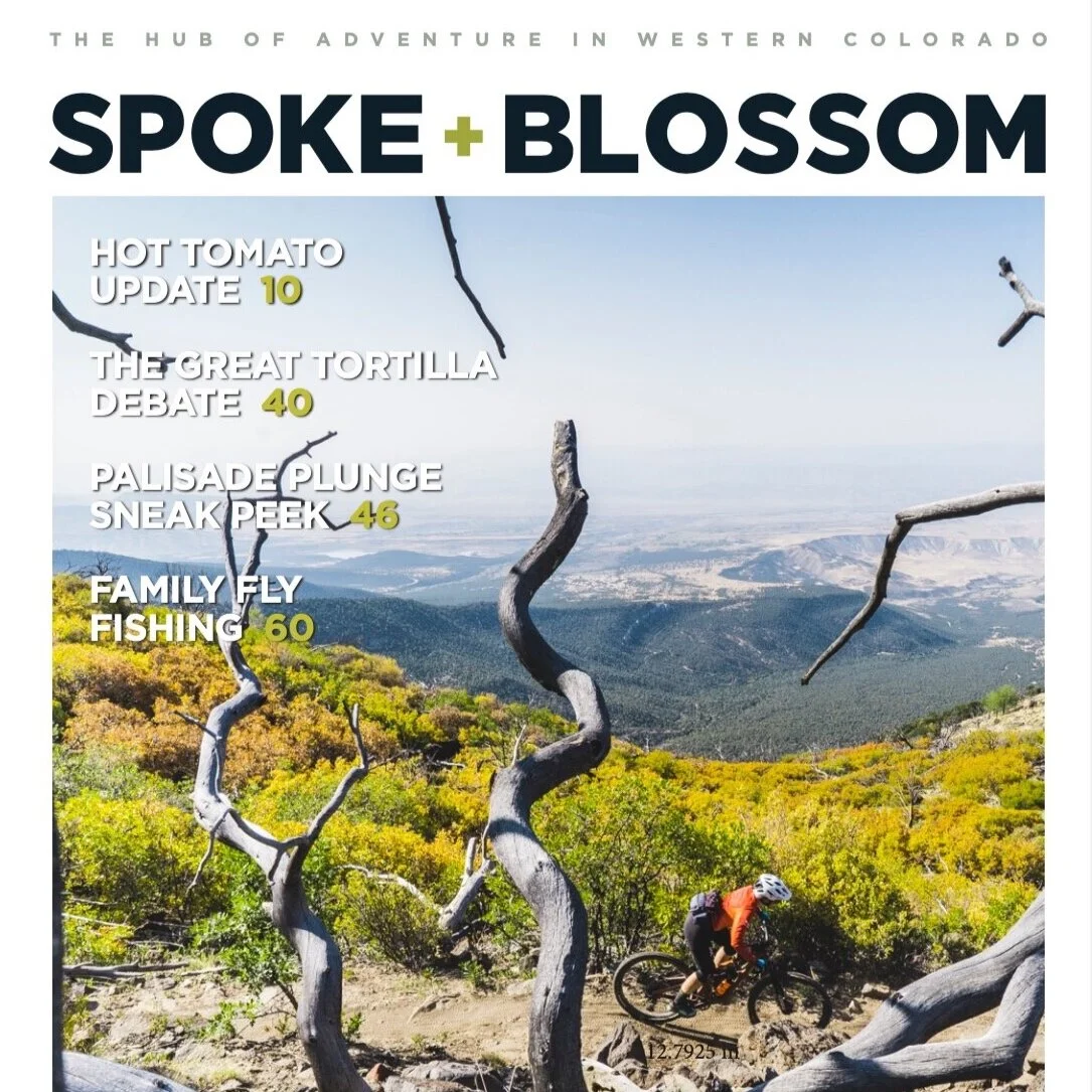 S+B ISSUE 16 / SUMMER 2021