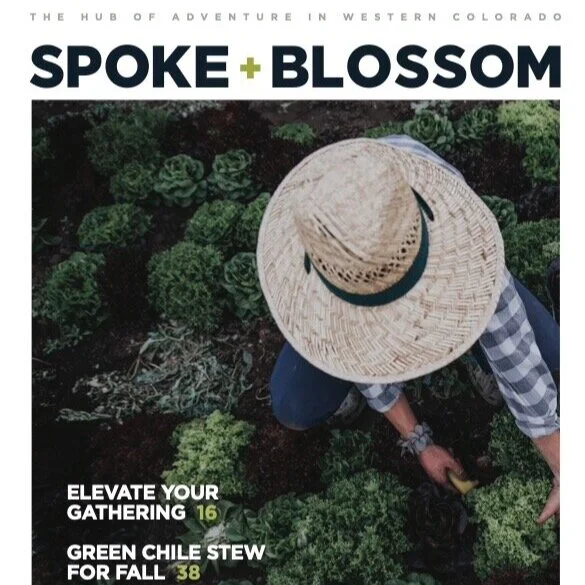 S+B ISSUE 17 / FALL 2021