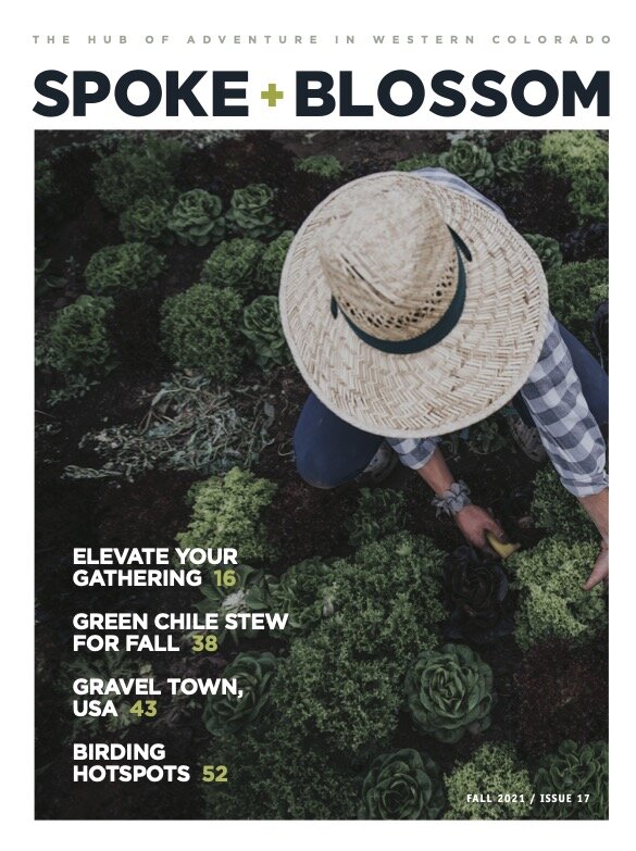 Fall 2021, Issue 17