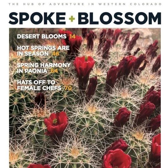 S+B ISSUE 19 / SPRING 2022