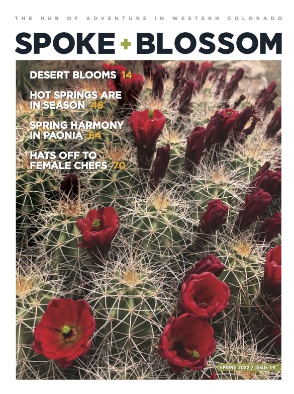 Spring 2022, Issue 19