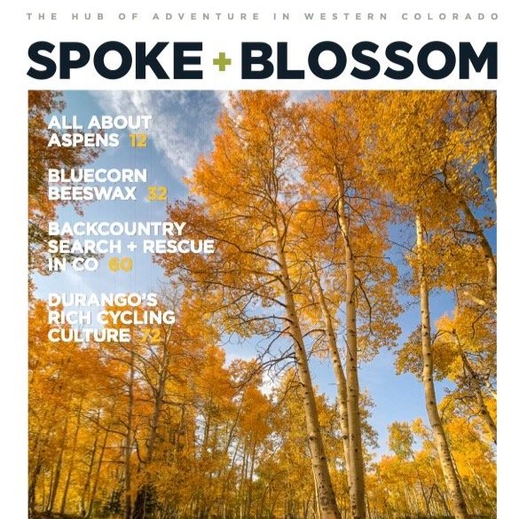 S+B ISSUE 21 / Fall 2022