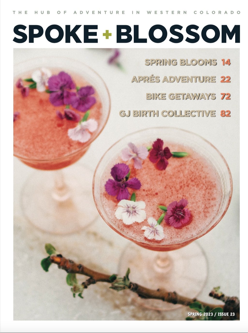 Spring 2023, Issue 23
