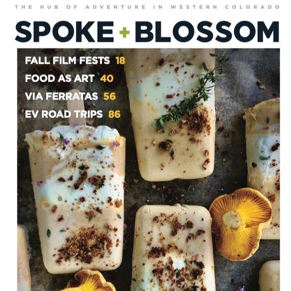 S+B ISSUE 25 / FALL 2023