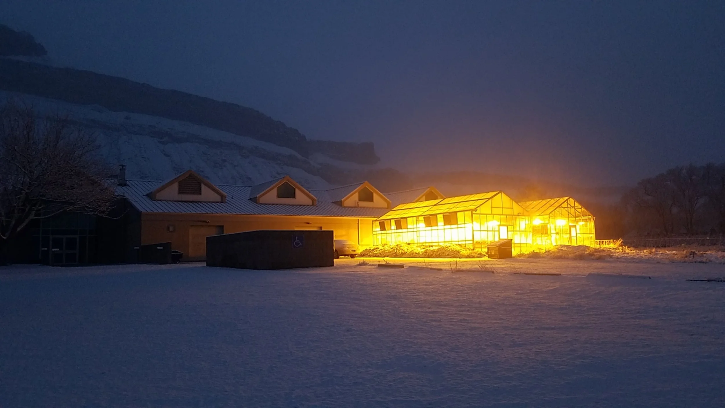 Palisade Insectary: Safeguarding The Taste + Landscape Of Western Colorado 