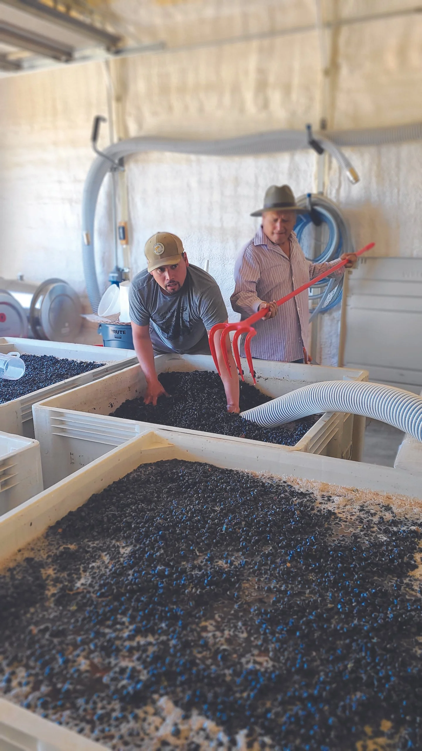 Latinx Makers In Western Colorado: Edgar "EQ" Quiroz + Alejandro Castillo Llam