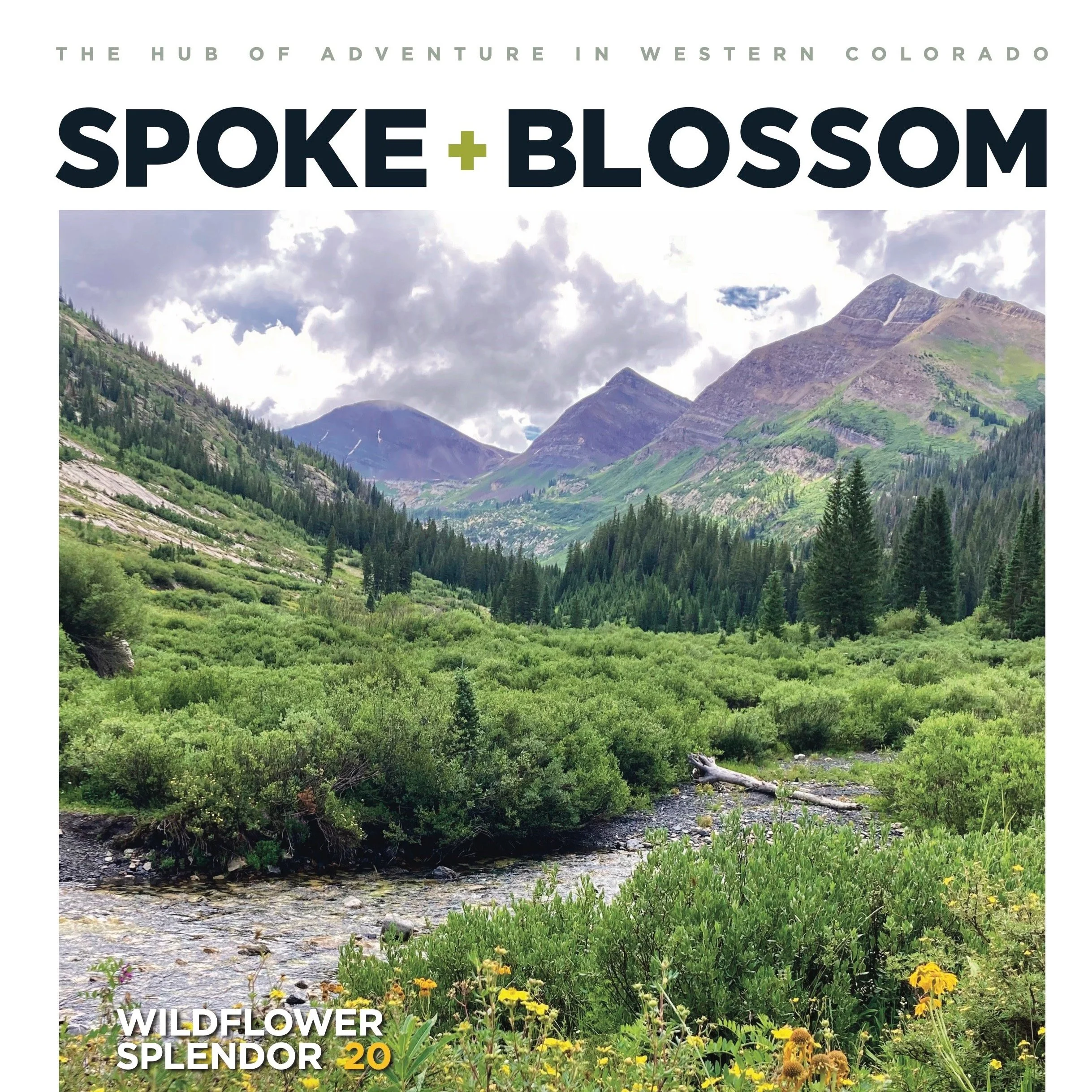 S+B ISSUE 28 / SUMMER 2024